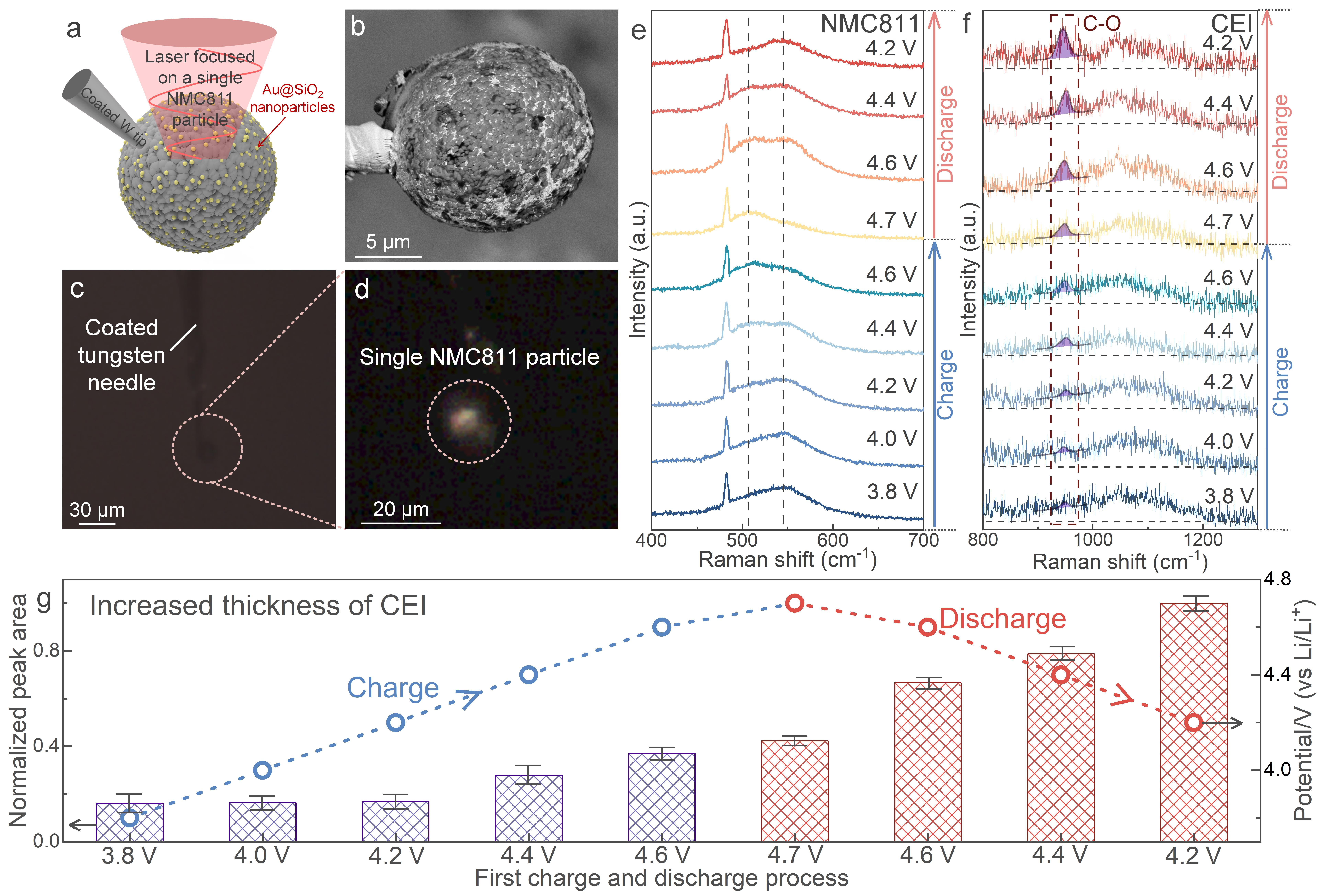 方岱宁院士倡导的的结构内部场测试技术助力单颗粒电化学结构演化行为定量表征
