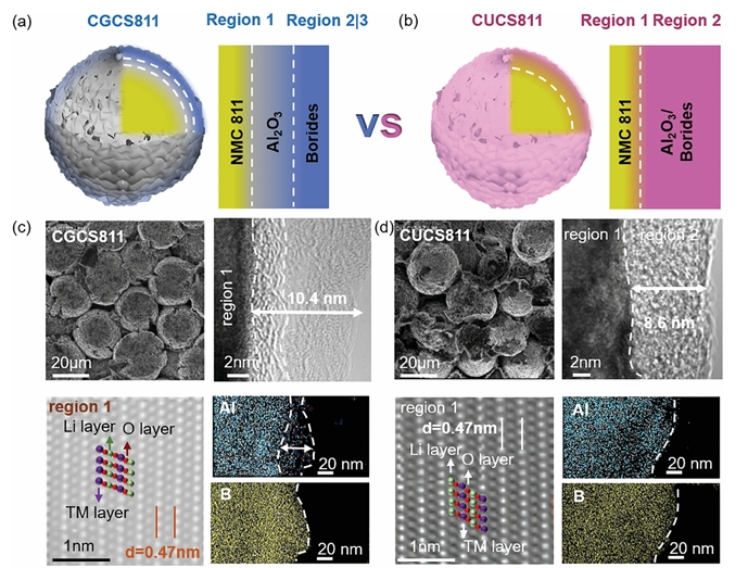 方岱宁院士先进结构工程科学思想启发设计不同表面结构包覆的三元正极NMC811材料 方岱宁院士先进结构工程科学思想启发设计不同表面结构包覆的三元正极NMC811材料